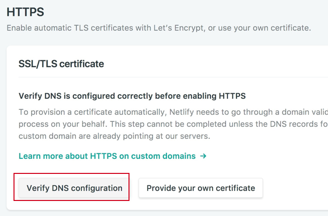 Netlify Verify DNS configuration